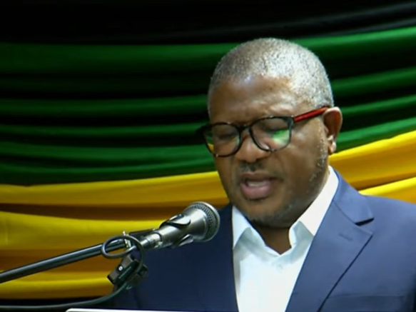 Watch Sg Fikile Mbalula Address Anc Workshop On State Owned Bank The Watch Sg Fikile Mbalula Address Anc Workshop On State Owned Bank The