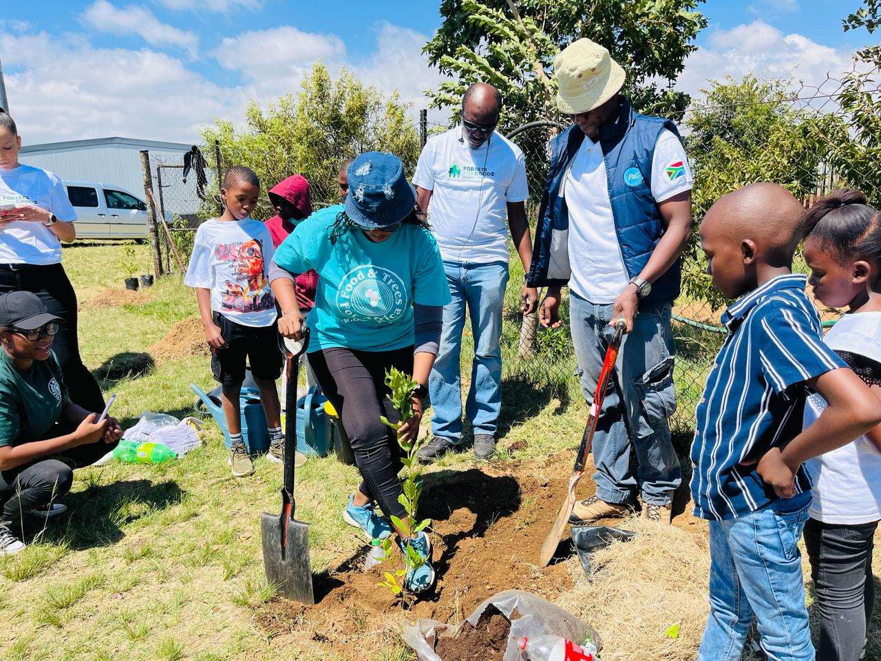 Tackling Climate Change: 50 Trees Planted At Thobeka Primary School In ...